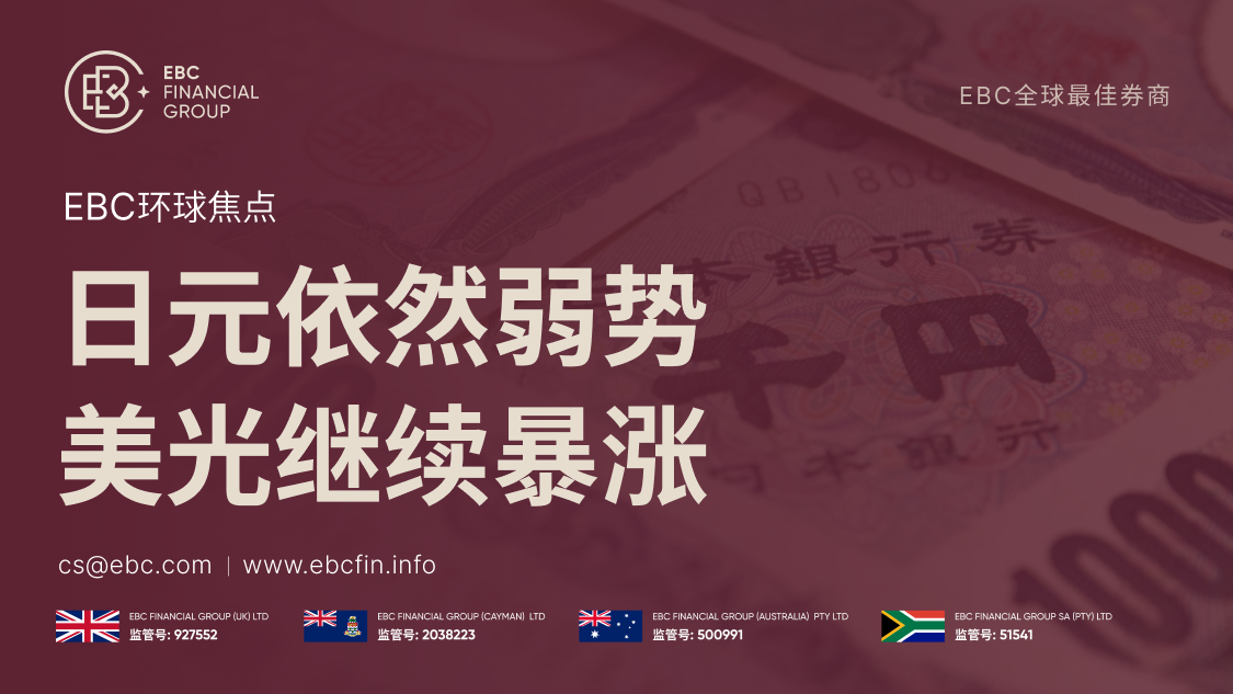 外汇119